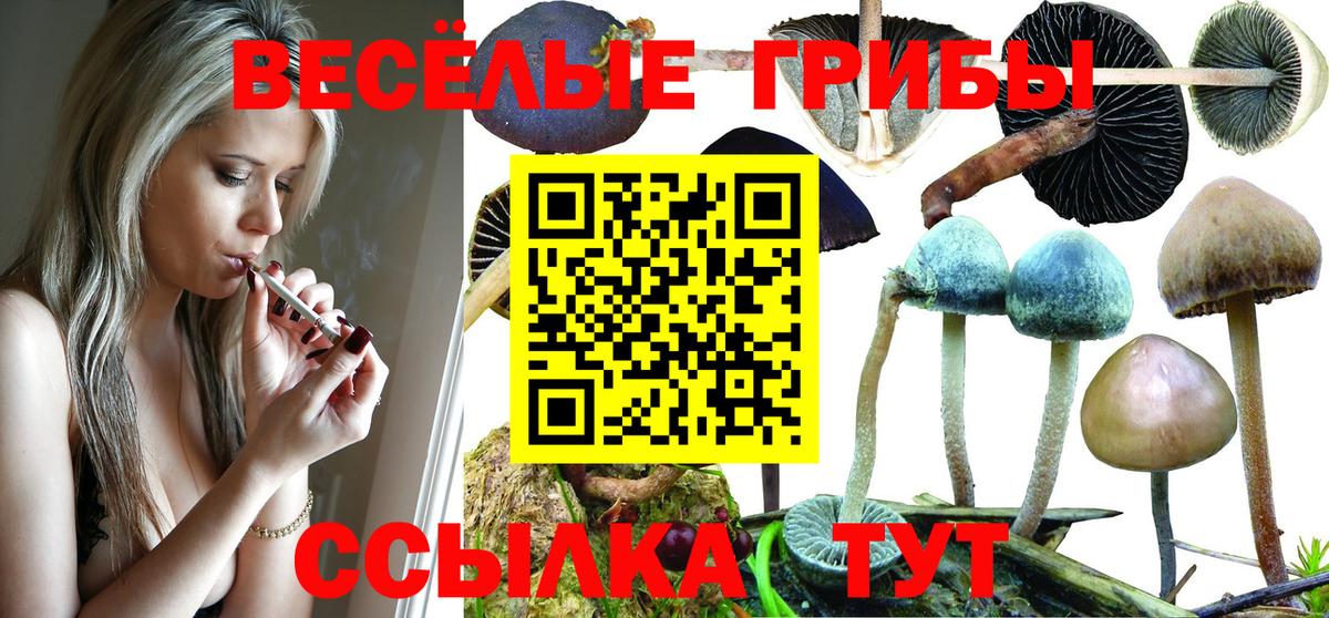 Томск  Галлюциногенные грибы мицелий  Псилоцибиновые грибы прущие грибы  Вход с VPN 